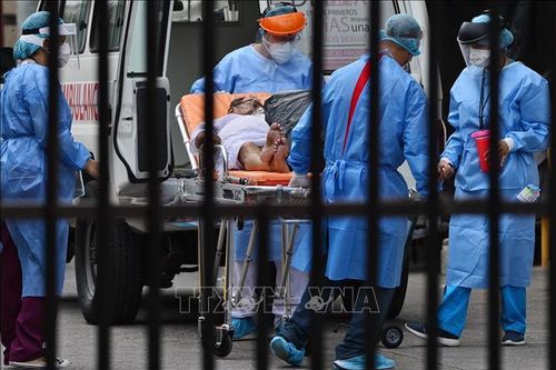 Số ca mắc COVID-19 trên thế giới tăng từ 19 triệu lên 20 triệu ca sau 4 ngày