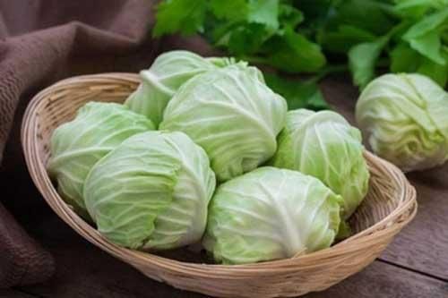 Ăn bắp cải rất tốt nhưng đây là những sai lầm mà rất nhiều người mắc phải