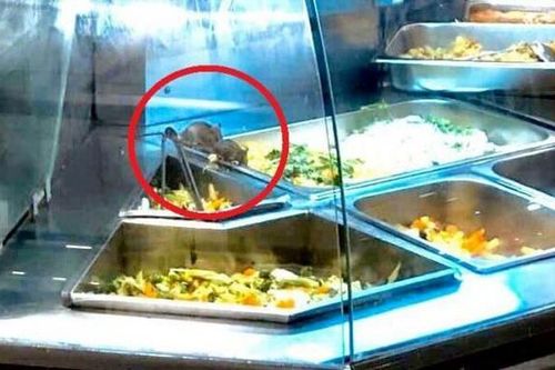 Cộng đồng mạng và Aeon Mall nói gì về vụ chuột bò lên khay thức ăn ở khu ẩm thực?