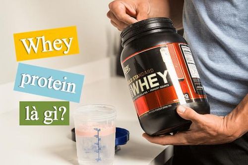 Những điều cần biết về whey protein
