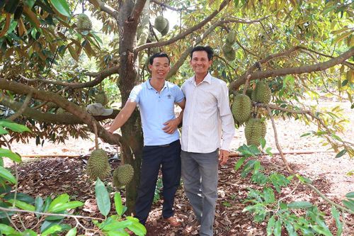 Nâng tầm sản phẩm OCOP
