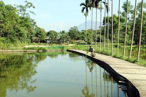 Còn nhiều dư địa để phát triển thủy sản ở Bảo Thắng