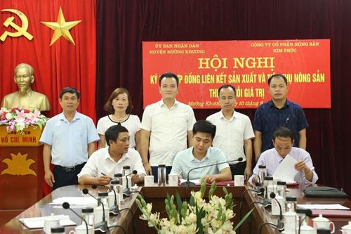 Mường Khương: Ký kết hợp đồng liên kết sản xuất và tiêu thụ nông sản