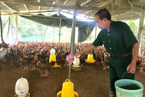 Cựu chiến binh làm kinh tế giỏi