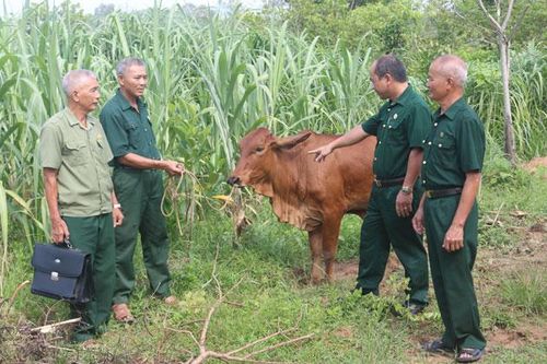 Giữa vạn tấm lòng