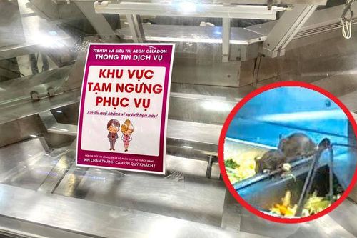 Aeon Mall Tân Phú TP.HCM đóng quầy ẩm thực sau sự cố chuột bò lên thức ăn