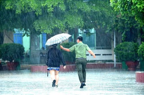 Nhìn lại những hình ảnh không thể nào quên của mùa thi tốt nghiệp THPT thử thách nhất