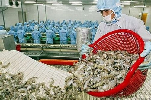 Để vào EU, không thể mạnh ai nấy làm