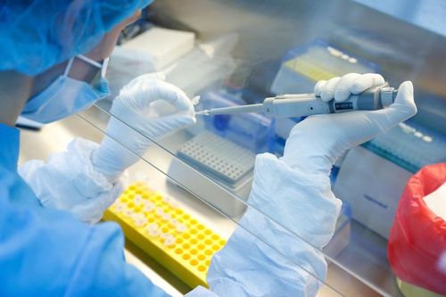 Vaccine phòng lao có thể hỗ trợ phòng bệnh COVID-19