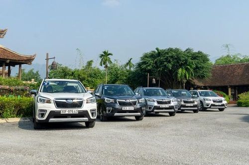 Subaru chốt cách xử lý cho Forester bị nổi 'cá vàng'