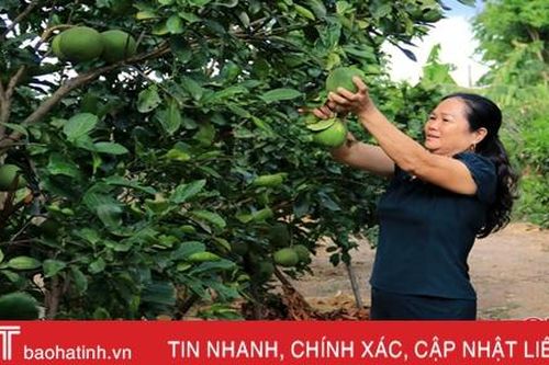Tâm huyết của nữ giám đốc HTX môi trường ở Hà Tĩnh