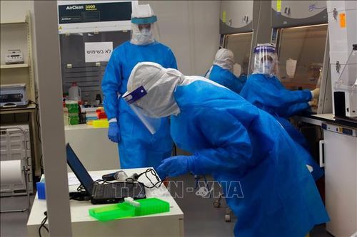 Israel: Vaccine phòng lao có thể hỗ trợ phòng bệnh COVID-19