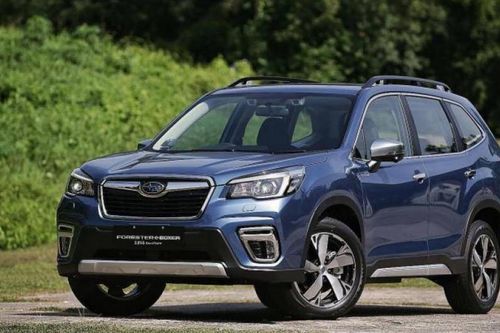 Subaru Nhật Bản ra giải pháp xử lý 'lỗi cá vàng' trên xe Forester