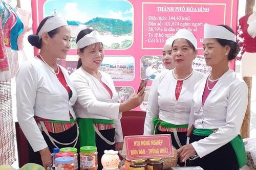 Điểm tựa hỗ trợ phát triển kinh tế của phụ nữ dân tộc Dao ở Hòa Bình