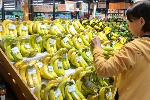 Xuất khẩu trái cây sang Trung Quốc: Tuân thủ tiêu chuẩn phát triển bền vững