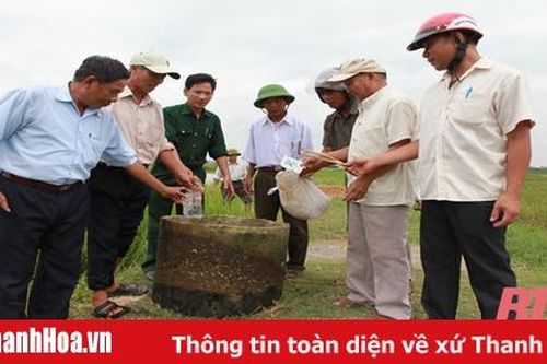 Cựu chiến binh đồng hành cùng nông dân bảo vệ môi trường