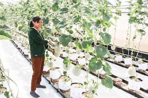 Phát huy sức mạnh đoàn kết, khơi dậy tính năng động, sáng tạo để đưa huyện Gio Linh phát triển toàn diện