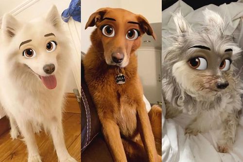 Hiệu ứng cực đỉnh của Snapchat, biến boss nhà bạn thành 'ngôi sao' Disney trong chớp mắt