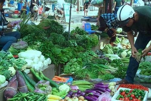Rau quả sạch vẫn khó tiêu thụ