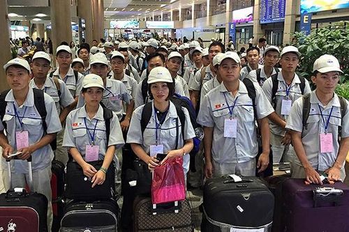 Cảnh báo về chương trình lao động thời vụ Hàn Quốc
