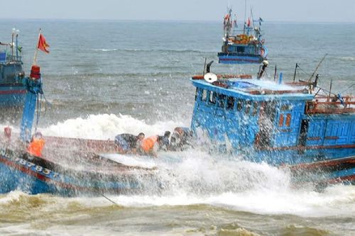 Kịp thời ứng cứu 8 thuyền viên trên tàu cá bị chìm
