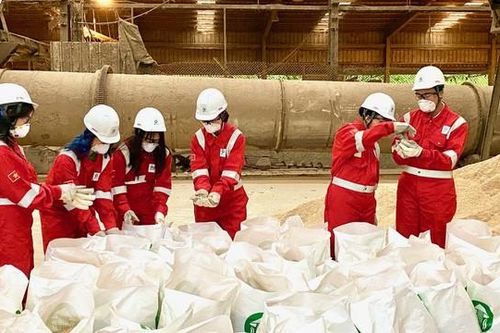 Dự án của học sinh Việt giành ngôi Vô địch cuộc thi Khởi nghiệp trẻ quốc tế