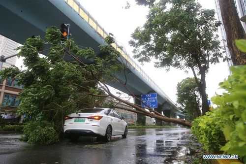 Bão Mekkhala đổ bộ Trung Quốc, thổi bay nhà cửa với sức gió cực mạnh