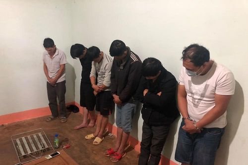 Nhóm trộm chó sử dụng bột cay để chống trả