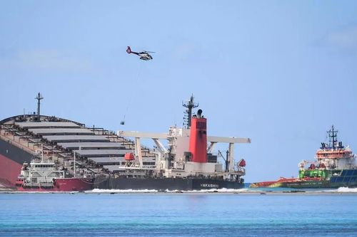 Các chuyên gia Liên hiệp quốc đến Mauritius hỗ trợ sự cố tràn dầu