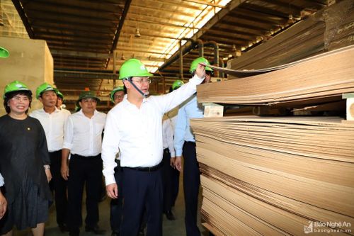 Chủ tịch UBND tỉnh Nguyễn Đức Trung thăm các mô hình kinh tế ứng dụng công nghệ cao ở Nghĩa Đàn
