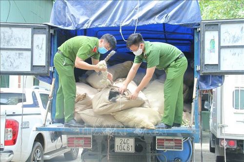 Mở thùng xe tải, phát hiện hơn 6 tấn lông gia súc không rõ nguồn gốc