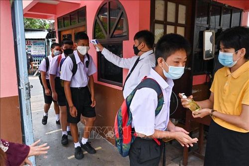 ILO đánh giá tác động với quá trình giáo dục của thanh thiếu niên