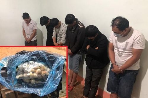 Bắt nhóm đối tượng dùng súng điện trộm chó chuyên nghiệp, sẵn sàng ném ớt bột nếu bị phát hiện