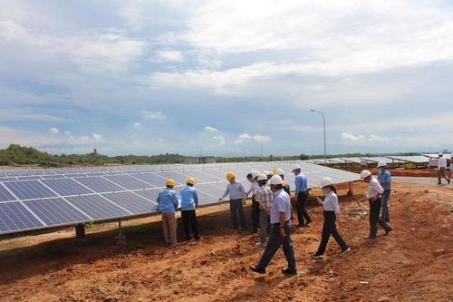 Nhà máy điện mặt trời Phước Thái 1 chính thức hoạt động
