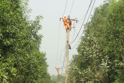 Ngành điện Quảng Bình: Chủ động ứng phó trước mùa mưa bão 2020
