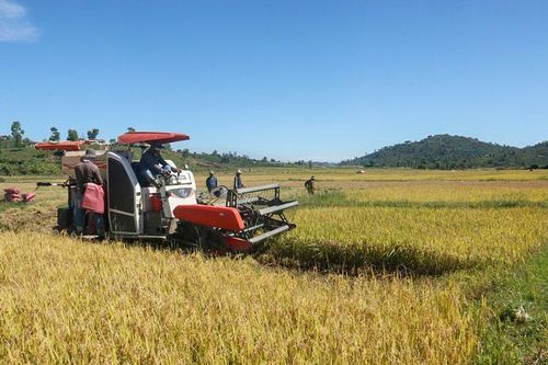 Tái cơ cấu ngành nông nghiệp: Bước chuyển biến mạnh mẽ