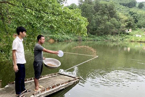 Quyết tâm về đích đúng hẹn