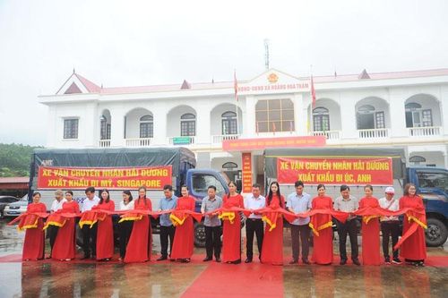 Hải Dương: Xuất khẩu lô nhãn tươi đầu vụ sang nhiều thị trường cao cấp