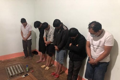 Dùng súng bắn điện, ớt bột đi săn trộm chó