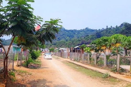 Quảng Nam: Làng Thanh niên lập nghiệp bình yên giữa đại dịch