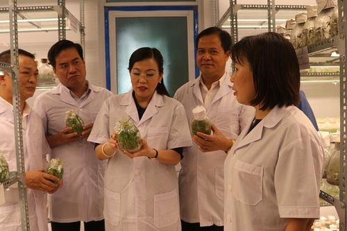 Trường ĐH Nông Lâm (ĐH Thái Nguyên): Bứt phá nhờ hướng nghiên cứu khoa học ứng dụng
