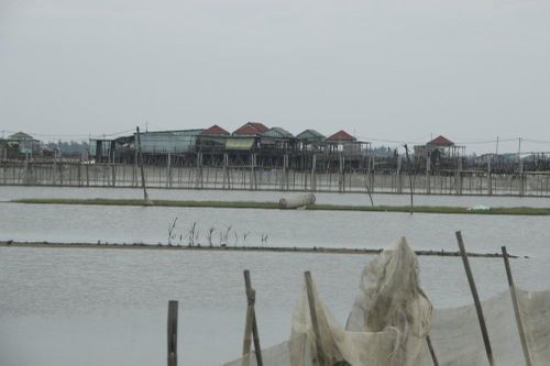 Kỷ luật Phó Chủ tịch huyện giúp bố chuyển đất nuôi tôm thành đất ở