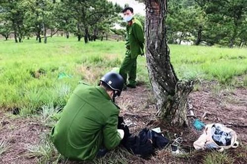 Phát hiện thi thể nữ bên dưới cây thông cô đơn trên đồi Thiên Phúc Đức