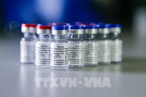 Nga nêu giá thành vaccine Sputnik V ngừa virus SARS-CoV-2