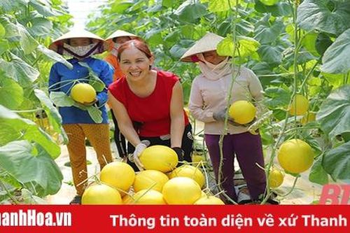 Đảng bộ huyện Yên Định phấn đấu đến năm 2025 trở thành huyện dẫn đầu của tỉnh