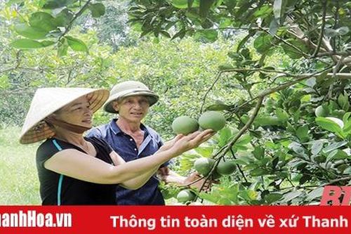 Phát triển kinh tế trang trại tổng hợp
