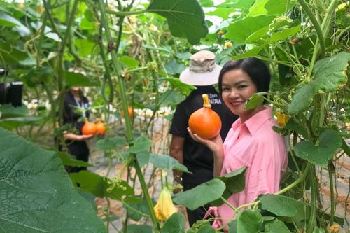 Nông dân trồng 'bí giọt nước'