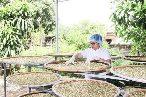 Chuẩn bị các điều kiện để nâng cao chất lượng sản phẩm OCOP