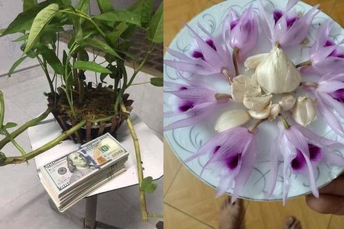 Dân mạng đua nhau 'chế' ảnh giao dịch lan đột biến tiền tỷ