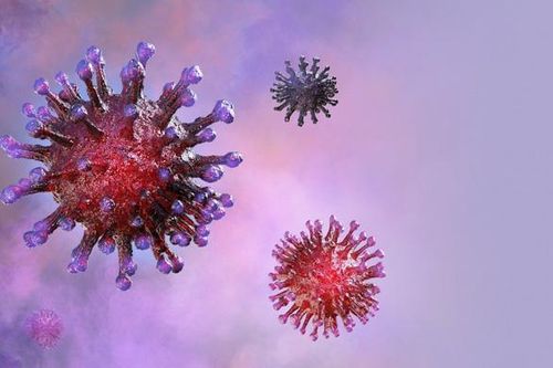 Trung Quốc: Phát hiện virus SARS-CoV-2 trên thịt gà nhập khẩu từ Brazil